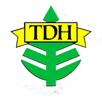TDH Landscaping logo